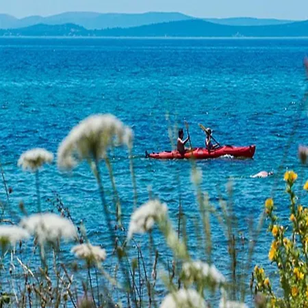In Zaton Zadar With Sea View, Balcony, Air Conditioning, Wifi 685-2 Apartment Zaton (Zadar)
