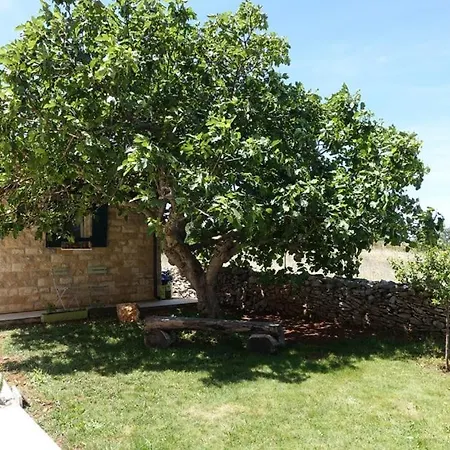 Lägenhet In Zadar With Sea View, Balcony, Air Conditioning, W-lan 3796-4 Zaton (Zadar)