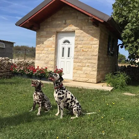 In Zadar With Sea View, Balcony, Air Conditioning, W-lan 3796-4 Lägenhet Zaton (Zadar)
