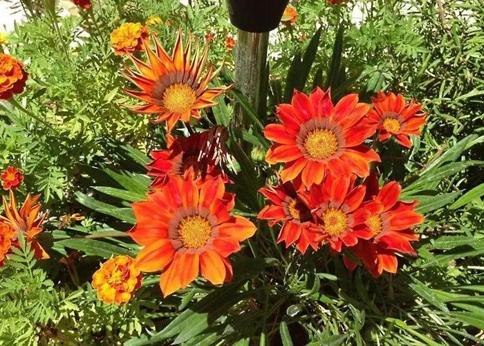 In Zadar With Sea View, Balcony, Air Conditioning, W-lan 3796-4 *