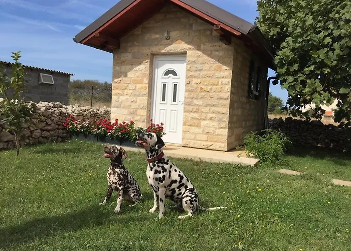 In Zadar With Sea View, Balcony, Air Conditioning, W-lan 3796-4 Lägenhet Zaton (Zadar)