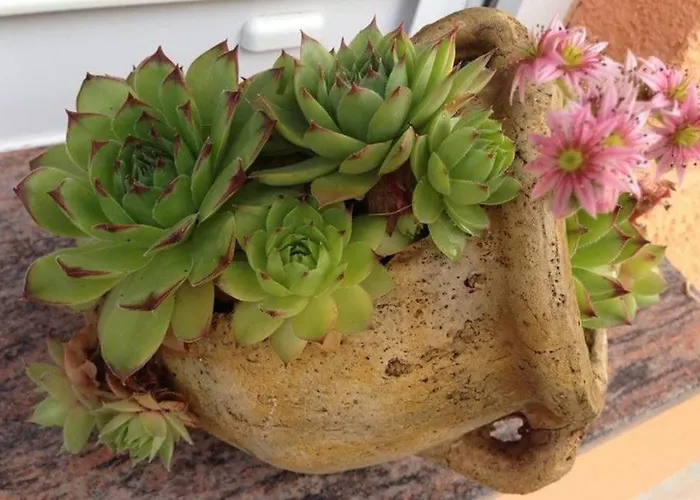 In Zadar With Sea View, Balcony, Air Conditioning, W-lan 3796-4 Lägenhet *