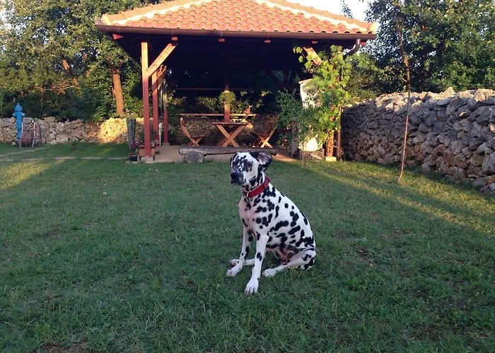 Lägenhet In Zadar With Sea View, Balcony, Air Conditioning, W-lan 3796-4